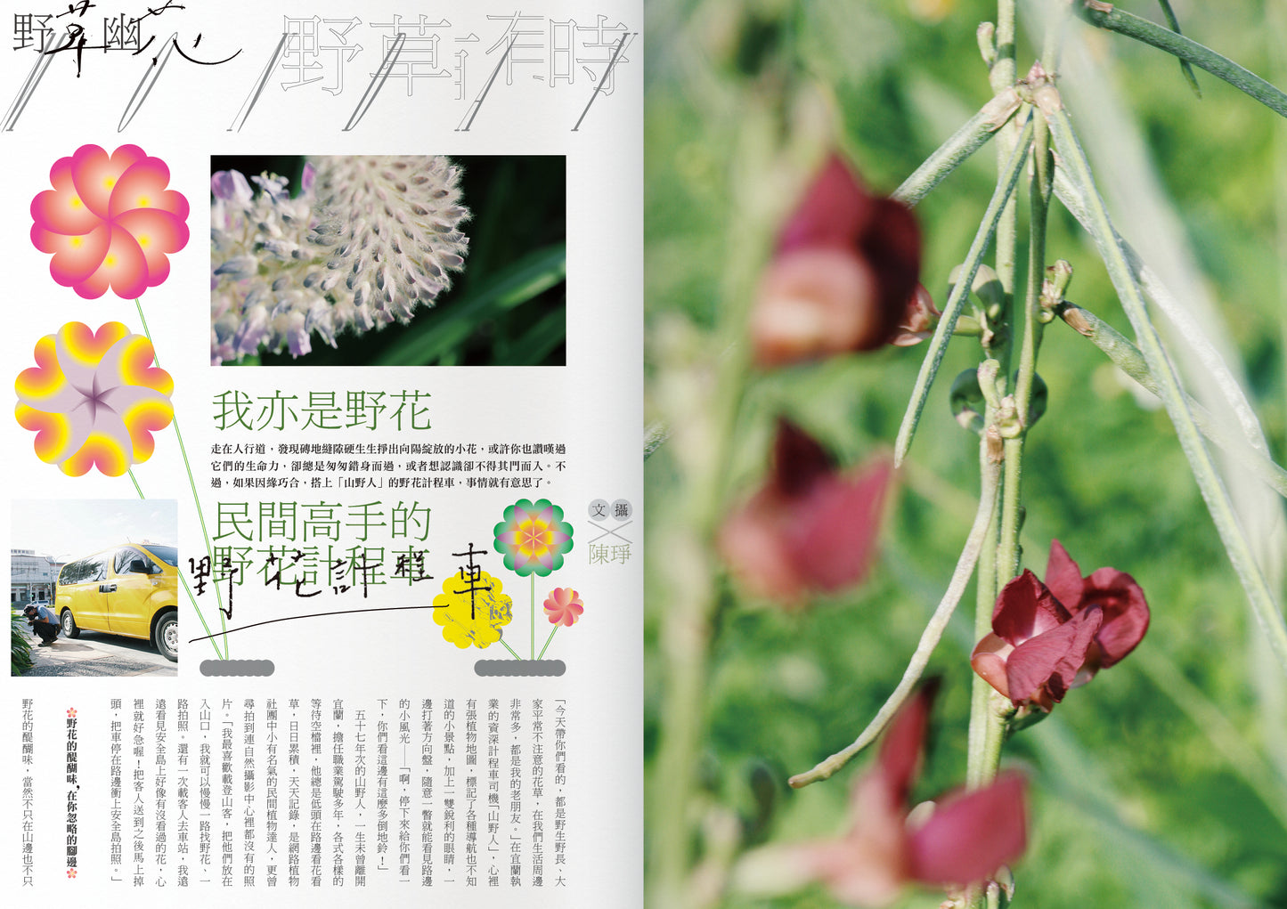 《Fountain 新活水》雜誌26期【野草幽花】